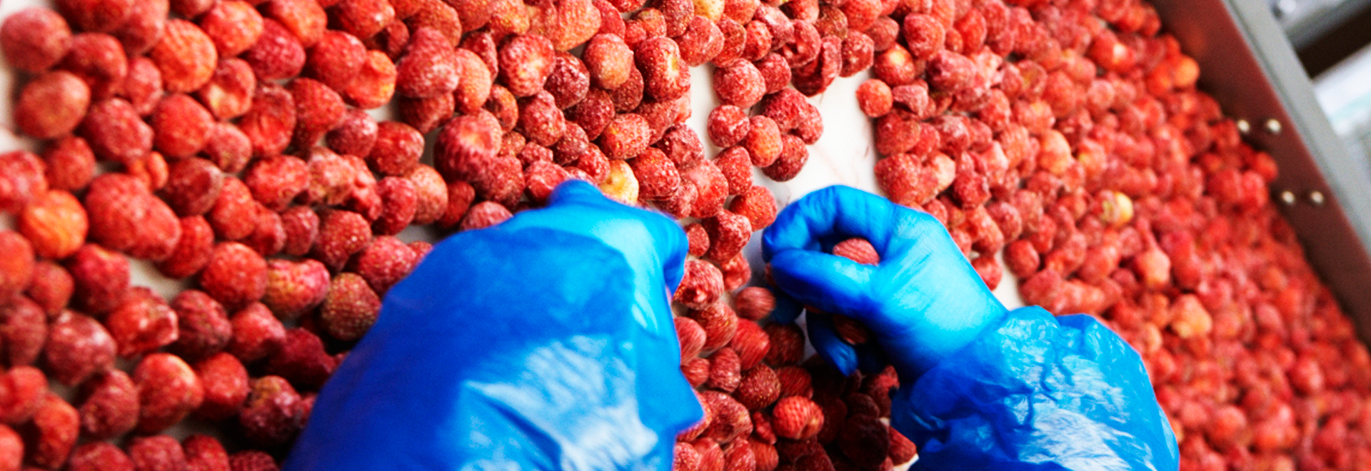 Modernity & Development